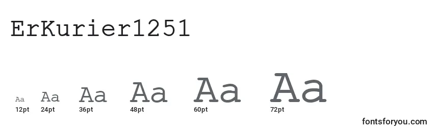 ErKurier1251 Font Sizes