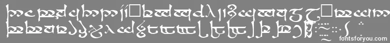 フォントMoromaRegular – 灰色の背景に白い文字