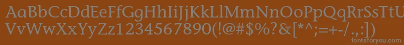 フォントStoneinformalstdMedium – 茶色の背景に灰色の文字