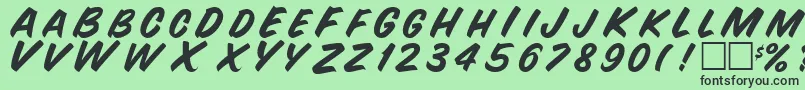 SnyderRegular Font – Black Fonts on Green Background