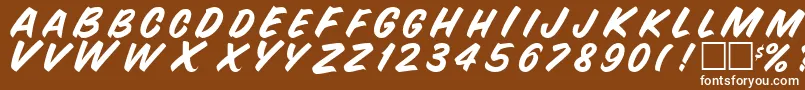 SnyderRegular Font – White Fonts on Brown Background