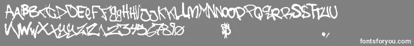 TheBattleContinuez Font – White Fonts on Gray Background