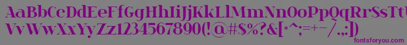 SpinweradBold Font – Purple Fonts on Gray Background