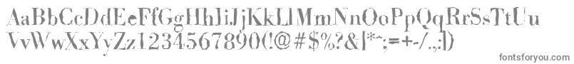 BodonirandomRegular Font – Gray Fonts on White Background