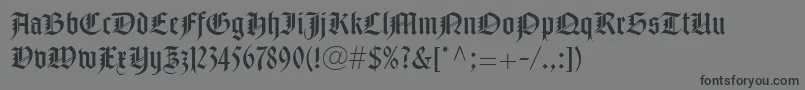 NotreDameLtRoman Font – Black Fonts on Gray Background