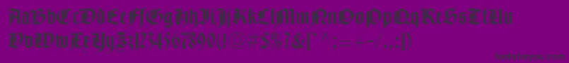 NotreDameLtRoman Font – Black Fonts on Purple Background