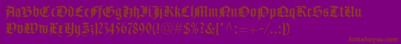 NotreDameLtRoman Font – Brown Fonts on Purple Background