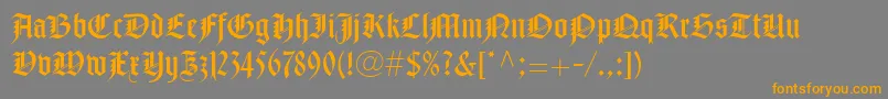 Weitere Informationen zur NotreDameLtRoman-Schriftart NotreDameLtRoman-Schriftart – Orangefarbene Schriften auf grauem Hintergrund