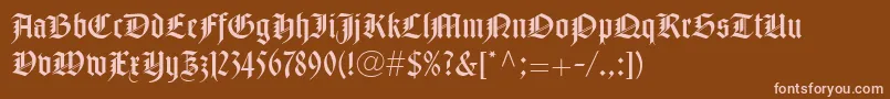 NotreDameLtRoman Font – Pink Fonts on Brown Background