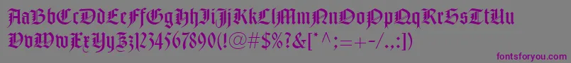 NotreDameLtRoman Font – Purple Fonts on Gray Background