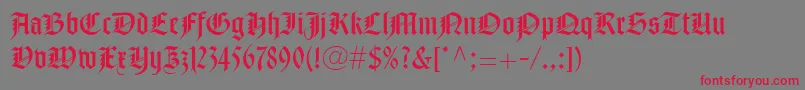 NotreDameLtRoman Font – Red Fonts on Gray Background