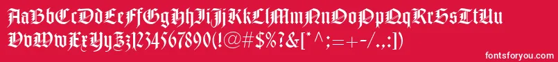 NotreDameLtRoman Font – White Fonts on Red Background
