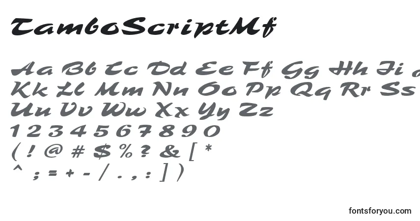 A fonte TamboScriptMf – alfabeto, números, caracteres especiais