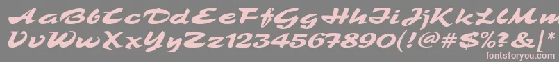 フォントTamboScriptMf – 灰色の背景にピンクのフォント