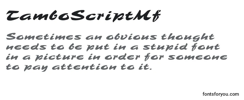 Review of the TamboScriptMf Font