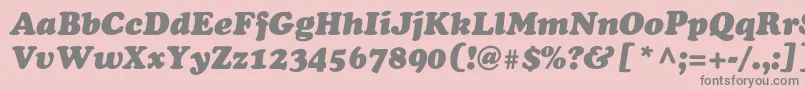 フォントAgcoopercyrItalicNormal – ピンクの背景に灰色の文字
