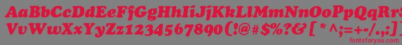 Шрифт AgcoopercyrItalicNormal – красные шрифты на сером фоне