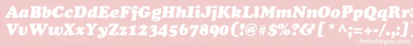 AgcoopercyrItalicNormal Font – White Fonts on Pink Background