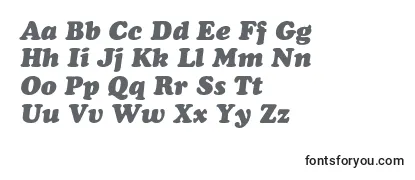 AgcoopercyrItalicNormal Font