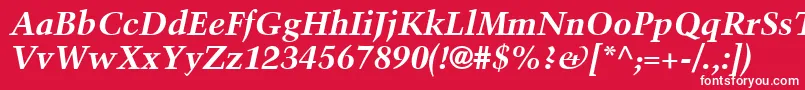 フォントBlackfordSsiBoldItalic – 赤い背景に白い文字