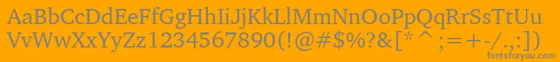 LeedsCyrKoi81Normal Font – Gray Fonts on Orange Background