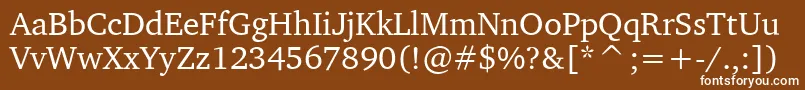 LeedsCyrKoi81Normal Font – White Fonts on Brown Background