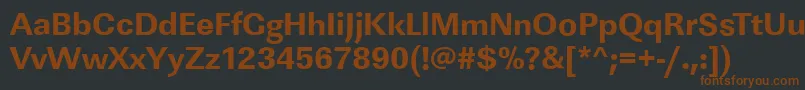 Шрифт LinearstdXboldRegular – коричневые шрифты на чёрном фоне