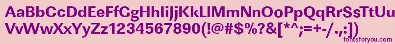 LinearstdXboldRegular Font – Purple Fonts on Pink Background