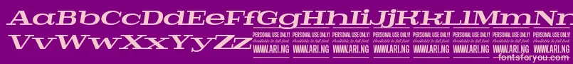 PigeonbolditalPersonal Font – Pink Fonts on Purple Background