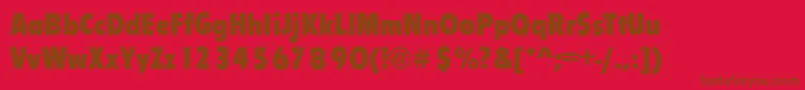 FlipperCdBold Font – Brown Fonts on Red Background