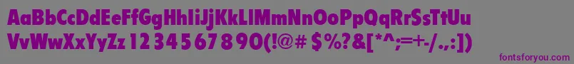 FlipperCdBold Font – Purple Fonts on Gray Background