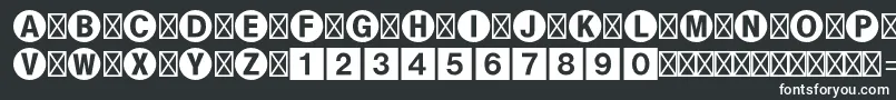 Bundesbahnpistd1 Font – White Fonts on Black Background