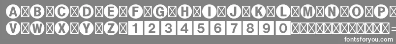 Bundesbahnpistd1 Font – White Fonts on Gray Background