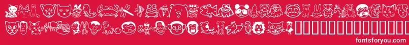 Sakabeanimal01 Font – White Fonts on Red Background