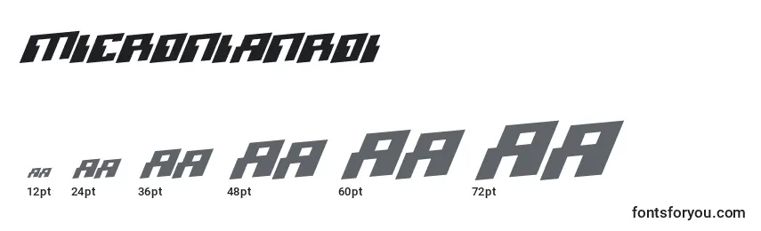 Micronianroi Font Sizes