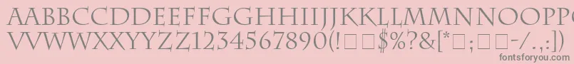 SenatusSsi Font – Gray Fonts on Pink Background