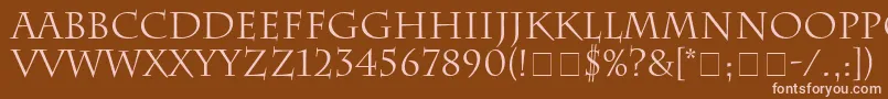 SenatusSsi-Schriftart – Rosa Schriften auf braunem Hintergrund