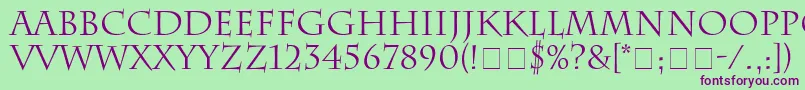 SenatusSsi-Schriftart – Violette Schriften auf grünem Hintergrund