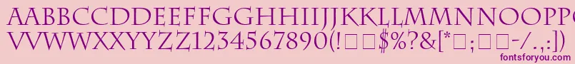 SenatusSsi-Schriftart – Violette Schriften auf rosa Hintergrund