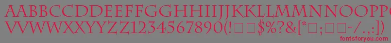 フォントSenatusSsi – 赤い文字の灰色の背景