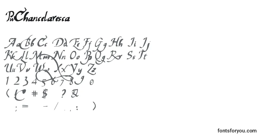 Czcionka PwChancelaresca – alfabet, cyfry, specjalne znaki