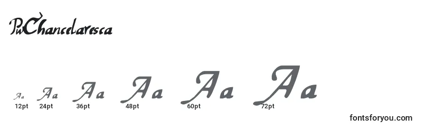 PwChancelaresca Font Sizes