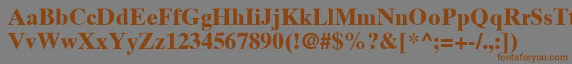 TimesTenLtBold Font – Brown Fonts on Gray Background