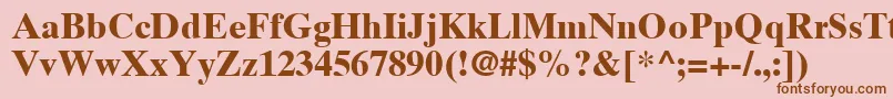 fuente TimesTenLtBold – Fuentes Marrones Sobre Fondo Rosa