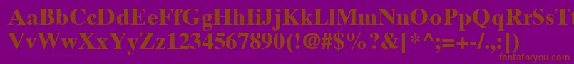 TimesTenLtBold Font – Brown Fonts on Purple Background