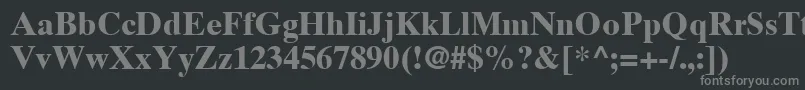 TimesTenLtBold Font – Gray Fonts on Black Background