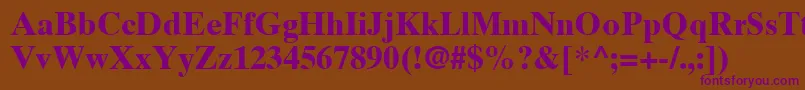 TimesTenLtBold Font – Purple Fonts on Brown Background