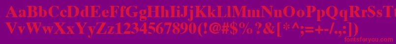 TimesTenLtBold Font – Red Fonts on Purple Background