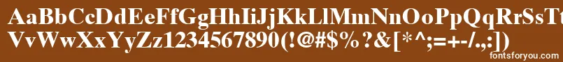 フォントTimesTenLtBold – 茶色の背景に白い文字