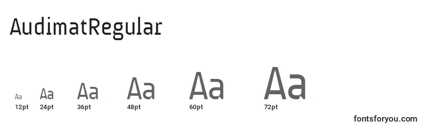 Размеры шрифта AudimatRegular